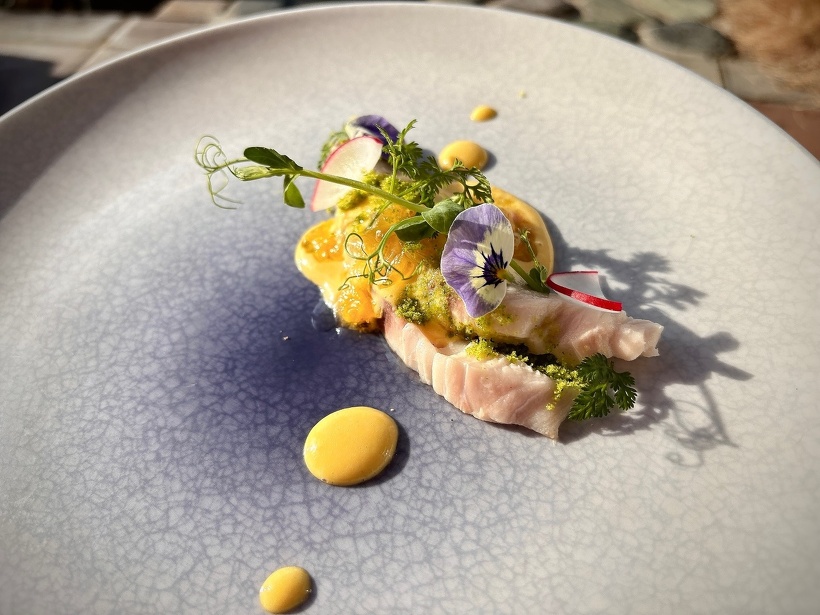 今月のシェフの一品：鰆のミ・キュイ　オレンジヴィネグレット