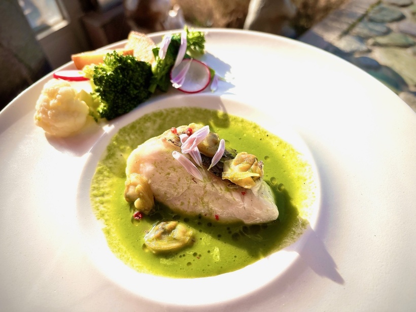今月のお魚料理：真鯛と浅利貝のブレゼ　春菊ソース